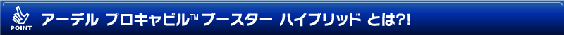 �A�[�f�� �v���L���s��  �u�[�X�^�[�@�n�C�u���b�g �Ƃ́H�I